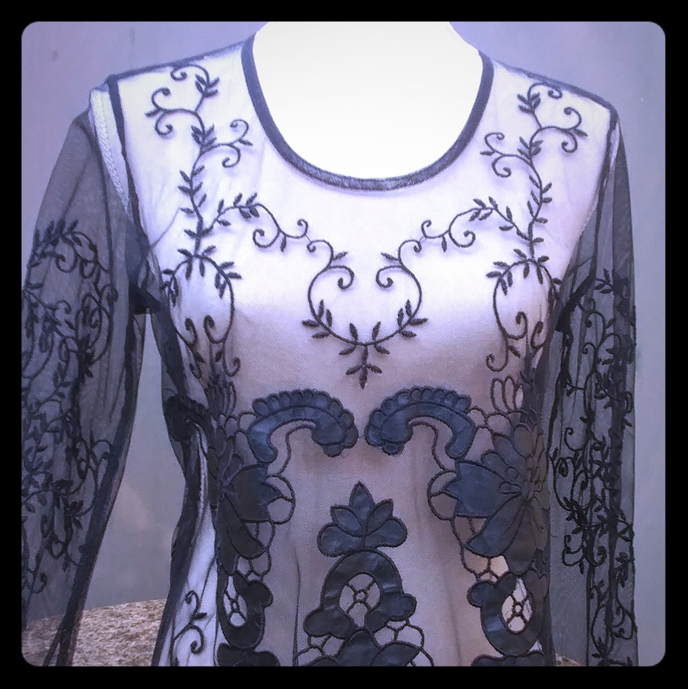 Chic embroidered mesh & appliqued lace blouse